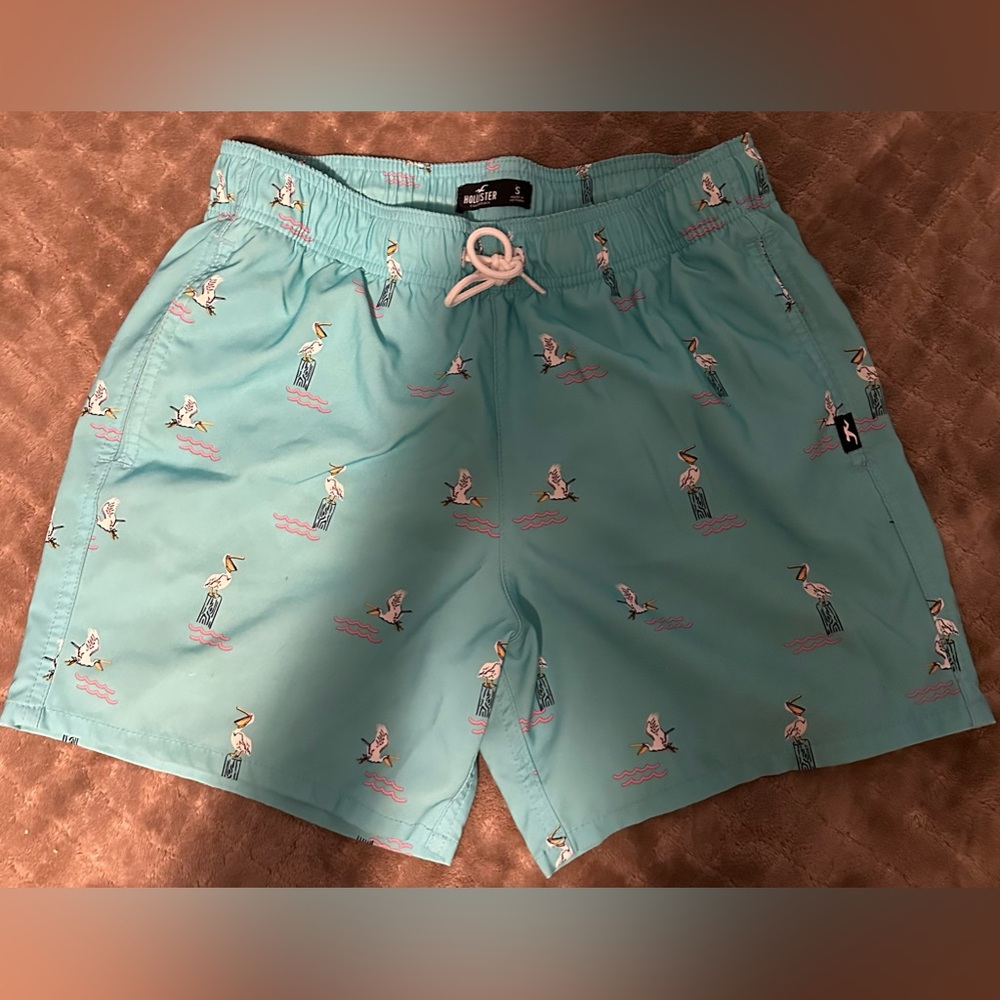 Hollister Swim Trunks